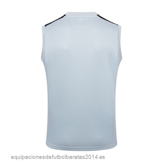 Nuevo Entrenamiento Sin Mangas Paris Saint Germain 23/24 Gris Claro Baratas